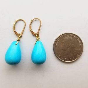 Large Turquoise Drop Earrings